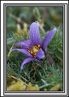 2007-05-12 * (20 Slides)